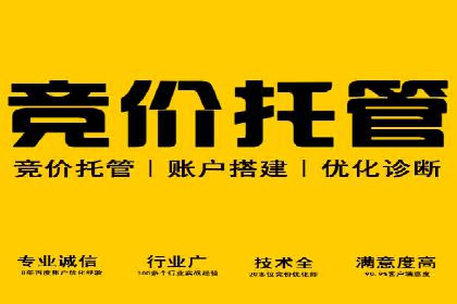 探索sem账户竞价运营的未来趋势与案例